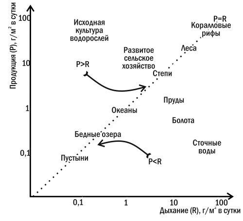 Какой вид сукцессии изображен на рисунке